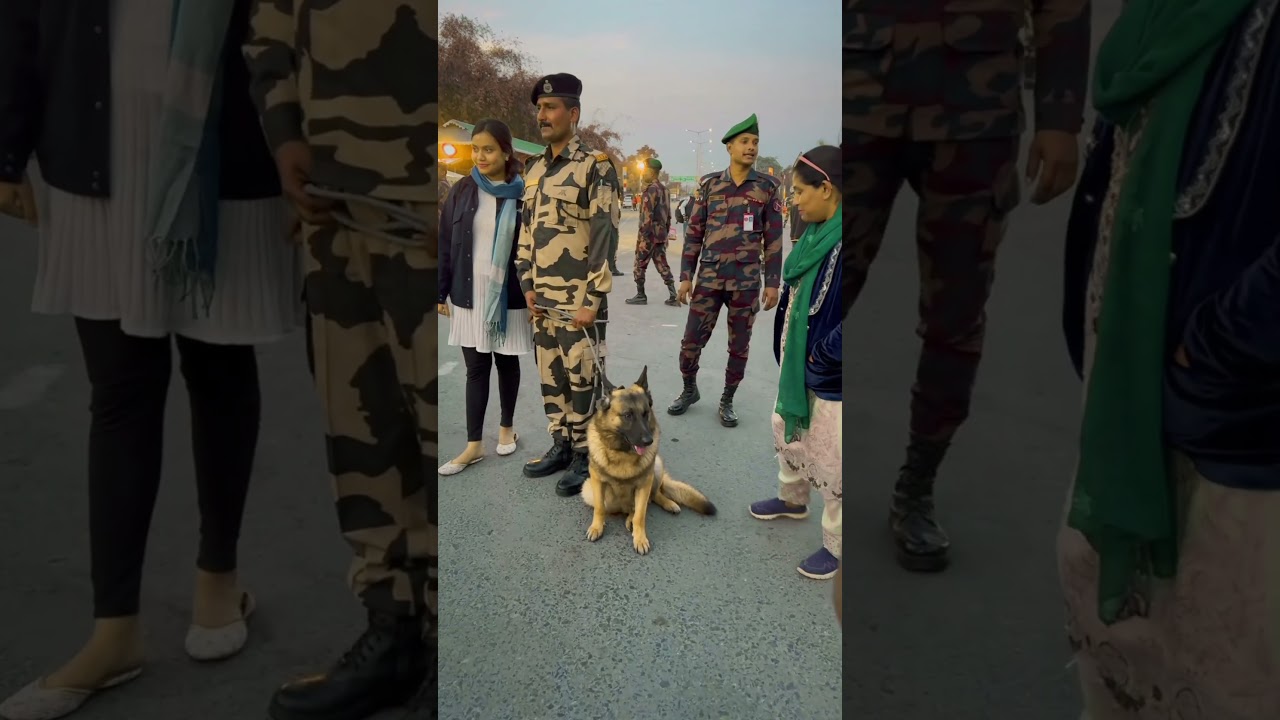 BGB vs BSF: Intense Dog Squad Showdown 🐕