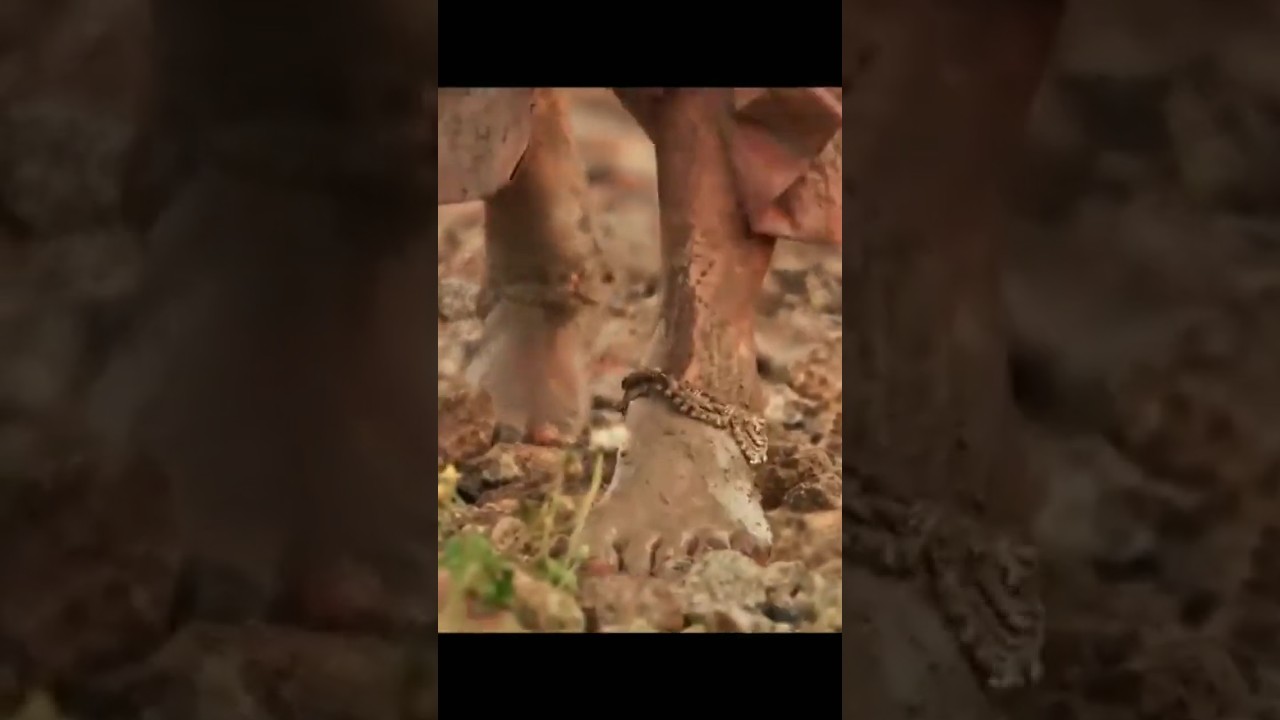 South Indian Movies Dubbed in Hindi 2025 🎬