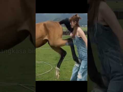 2000 Pon Kekuatan Tendangan Kuda! #faktahewan  #shortsviral