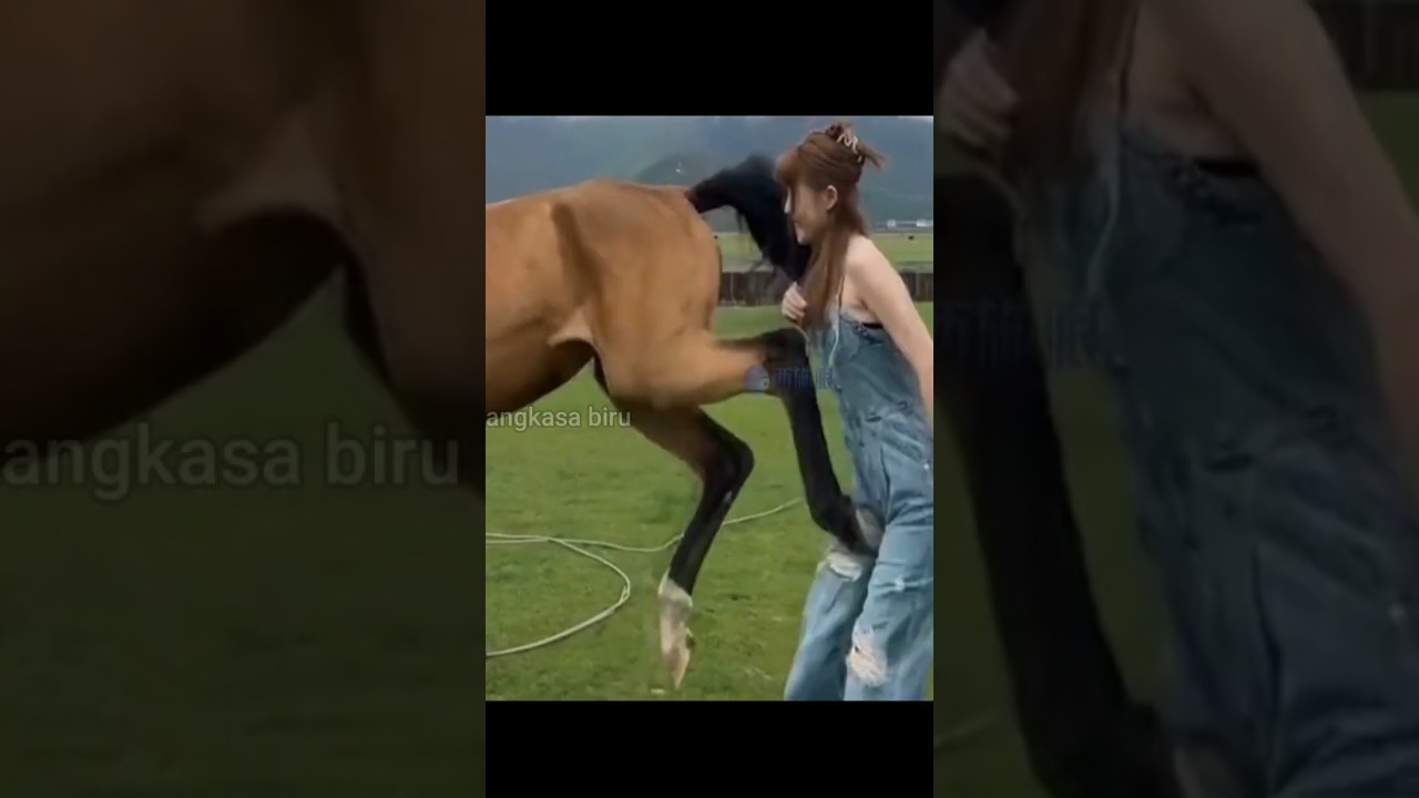 2000 Kekuatan Tendangan Kuda: Sampai 2.000 Pon! 🐎