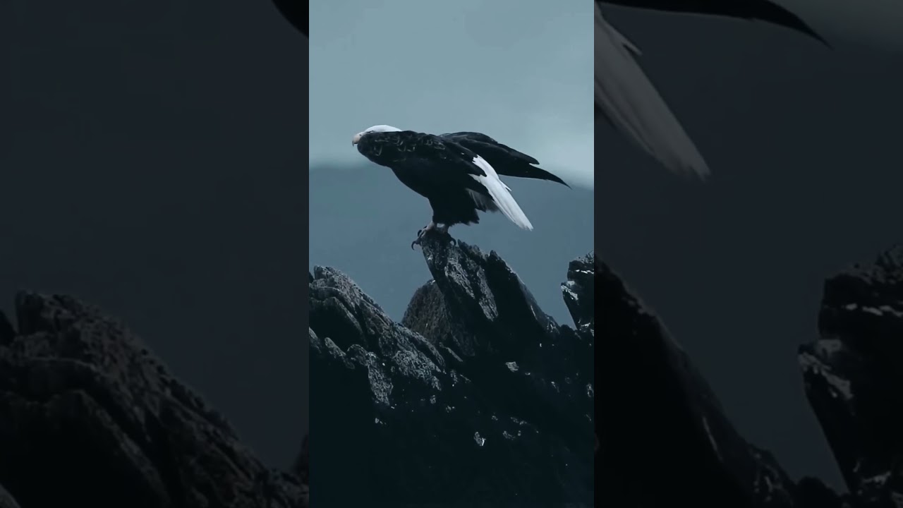 Dmitriy Rs & Eyeball Paul - Jay | Progressive Trance