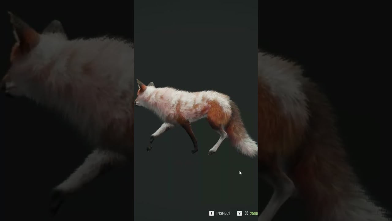 Piebald Red Fox Spotted on Emerald Coast π¦