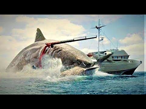 The Meg Attack On Ship Scene | The Meg | MF Movies Clips |