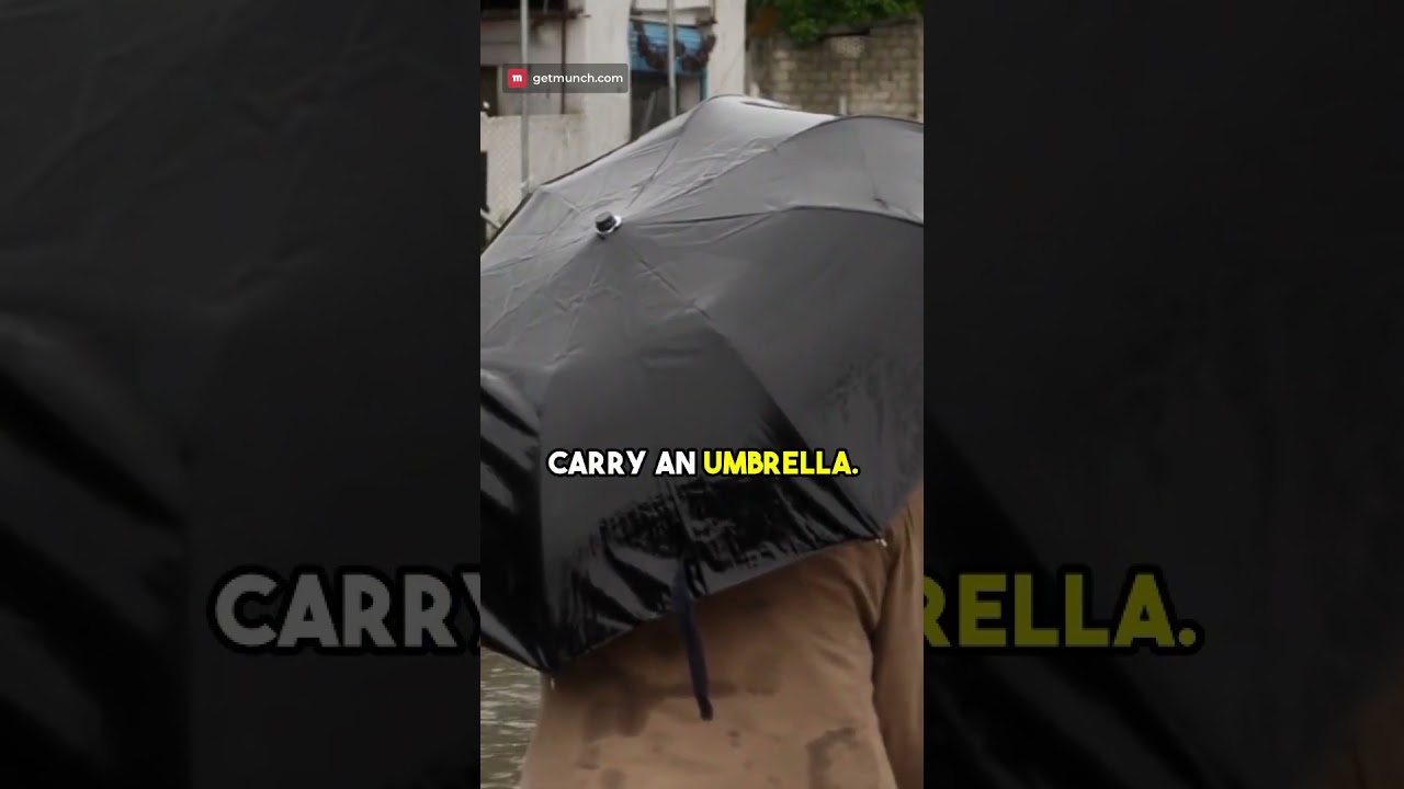 Ultimate Guide to Singapore's Weather: What You Need to Know โ๏ธ