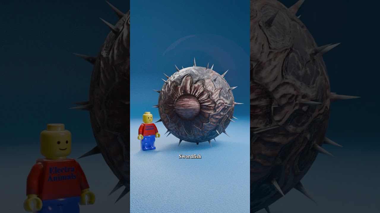 Ant Eye vs. Giant Squid Eye 👀