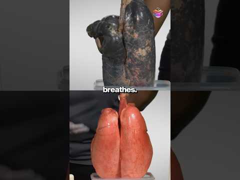 This device is helping INDIA breathe clean air!