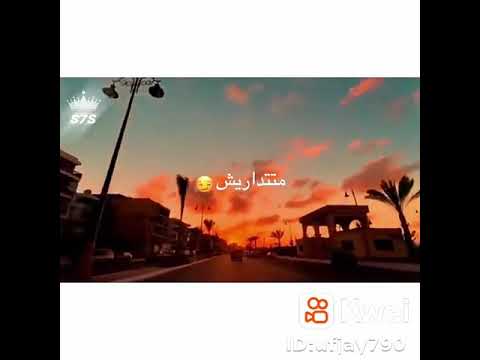 حالات واتس أغنية علي كل لون شوفتك يا دنيا