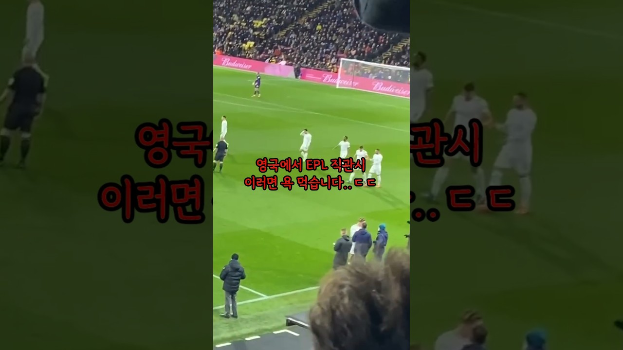 영국 축구 관전 시 절대 피해야 할 실수 5가지 ⚽