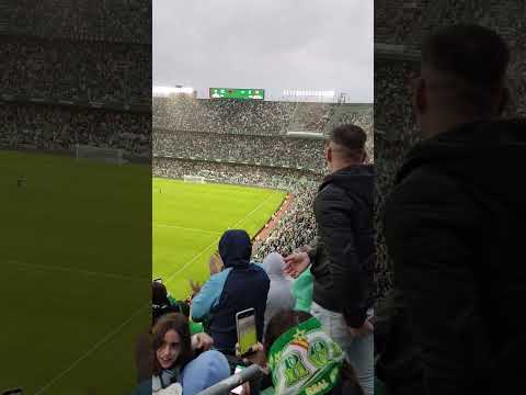 The Betis star ✨ vs Mallorca (04.11.2023) #nabilfekir #realbetis #sevilla #football