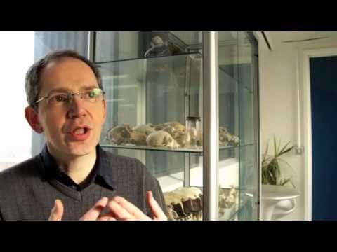 King's College London: Scientists prove Turing's tiger stripe theory