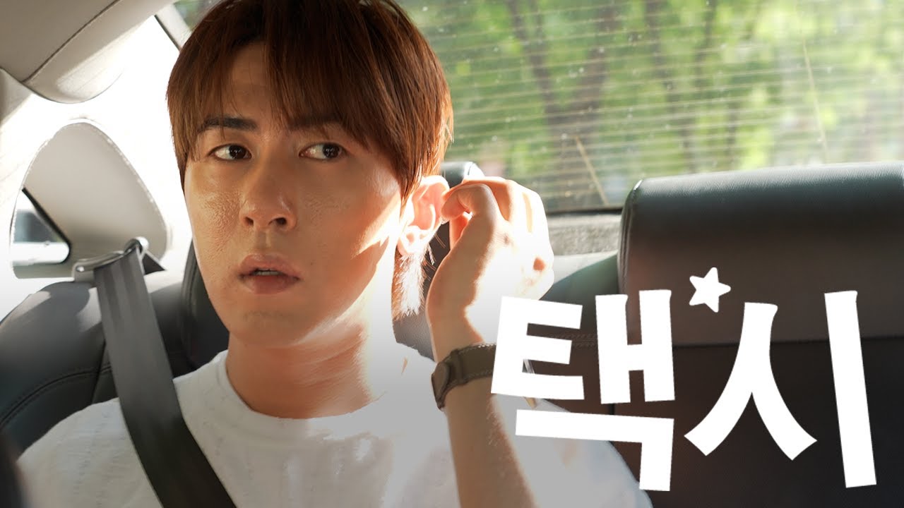 그냥 내비대로 가주세요 🚖