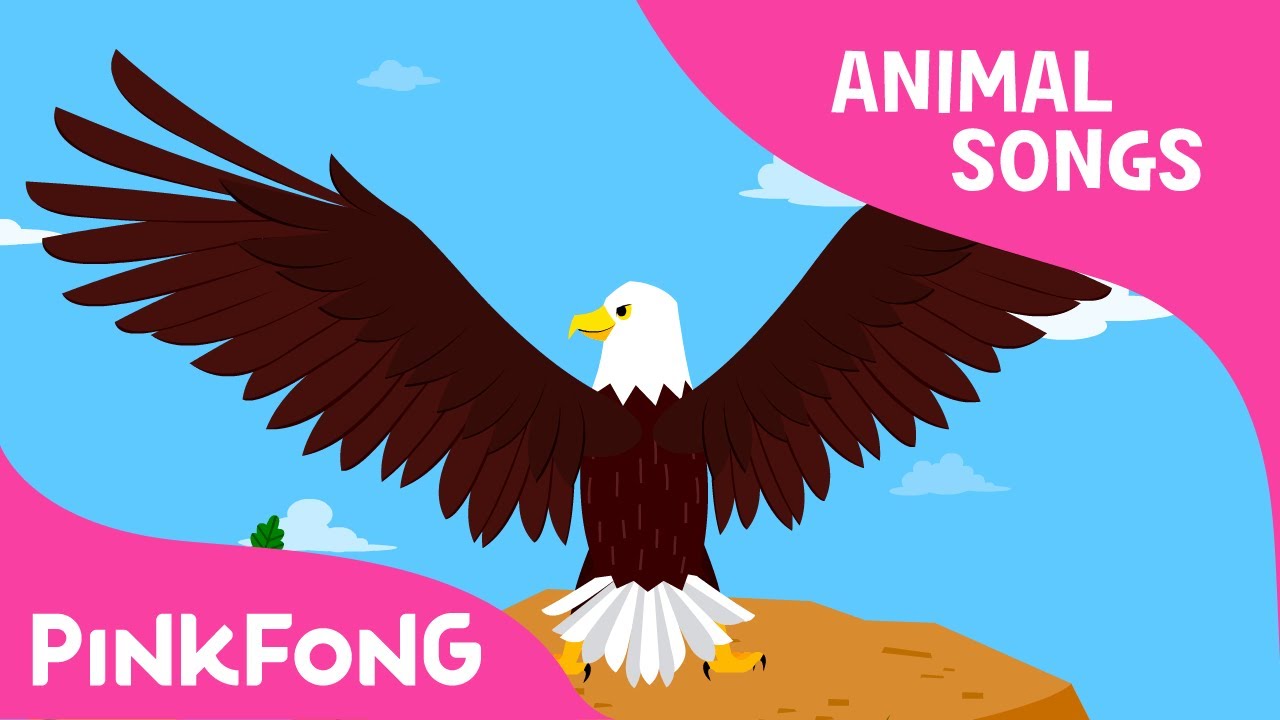 Majestic Bald Eagle 🦅 | Fun Animal Songs for Kids | Pinkfong