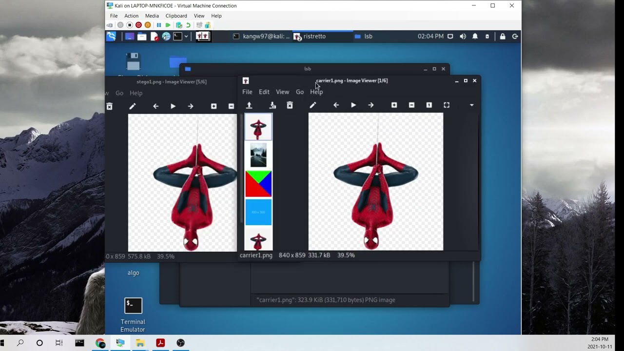 Secure Your Secrets with LSB Steganography in C++ 🖼️