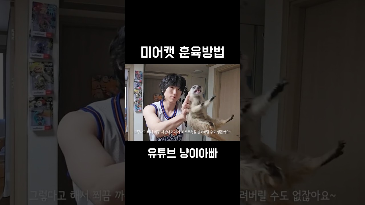 미어캣 훈육법 🐾