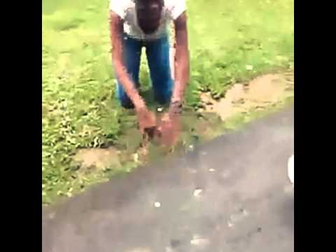 Ah non c'est terrible