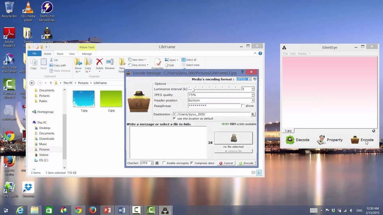 Module 8: Discover the Power of Steganography 🔍