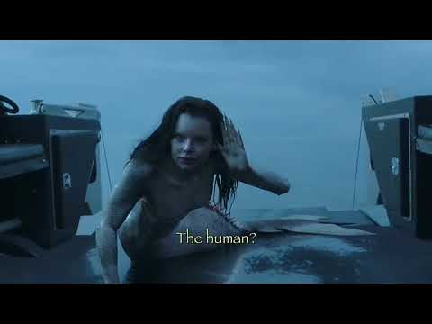 Siren Season 3 Finale 🌊