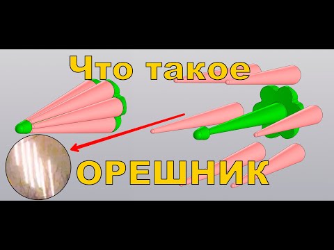 Технические особенности баллистической ракеты Орешник.