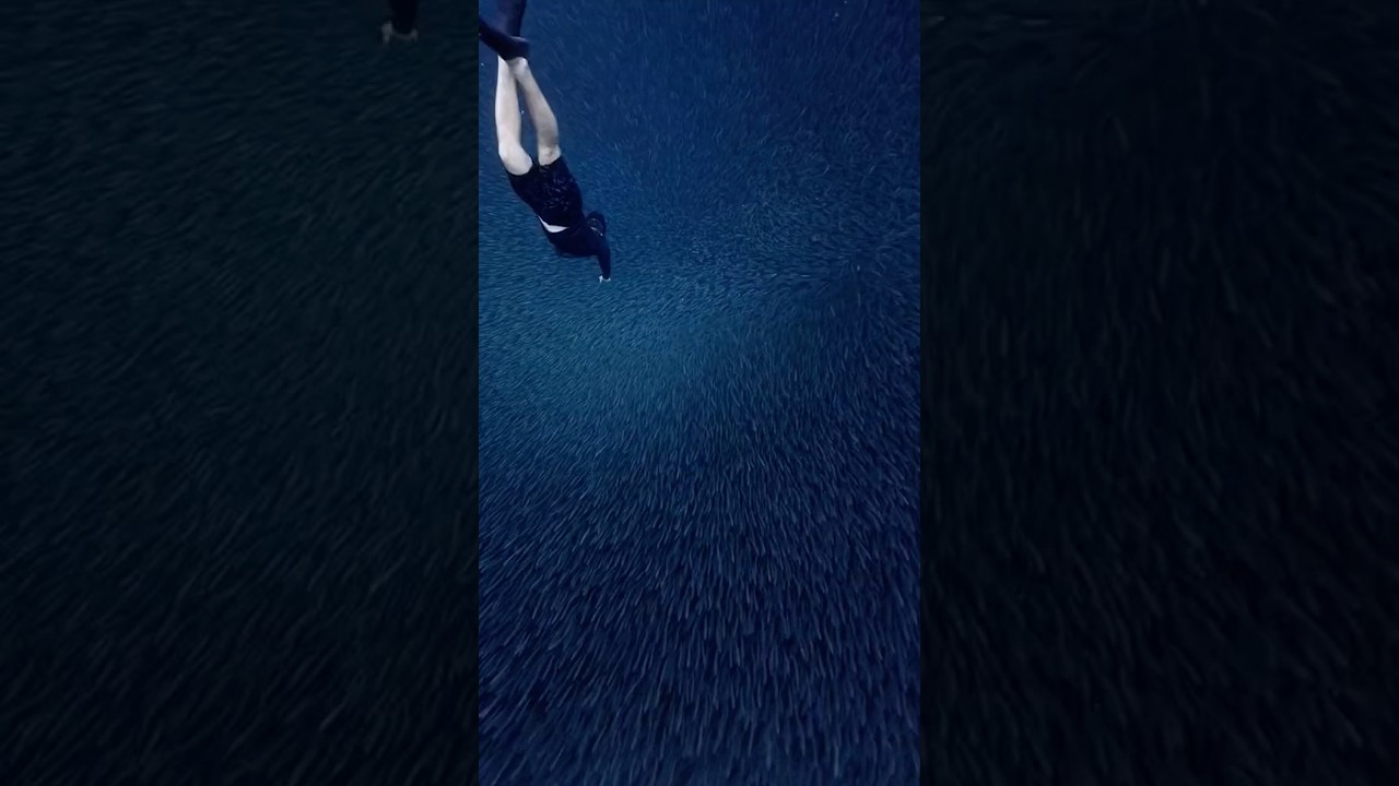 Ocean's Scariest Sounds 🌊