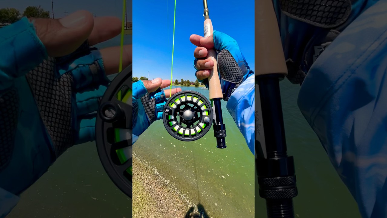 Fly Rod Tips for Trout & Striper Fishing 🎣