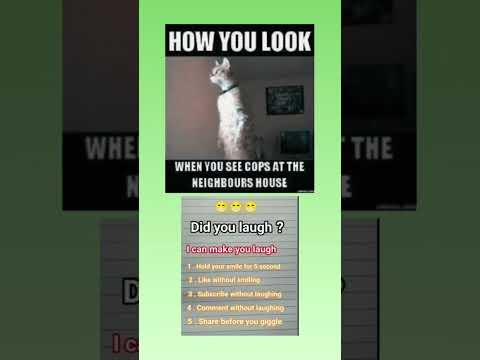 #lipsync #twitch #gamergirl #twitchstreamer #relatable #streamer #funny #lucu #共感できる #divertente