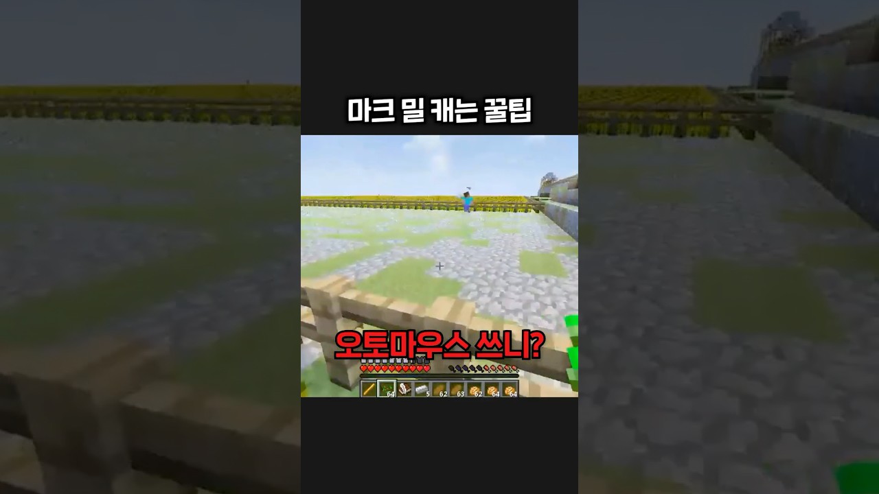 거의 오토마우스급! 마인크래프트 양띵 플레이 🎮