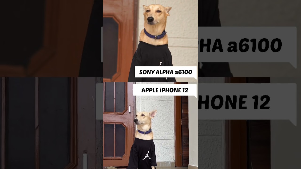 Sony Alpha a6100 vs iPhone 12: 4K Video Test ๐ฅ