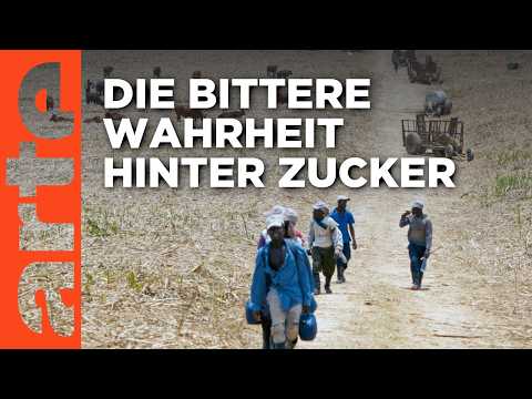 Zucker: Genuss um welchen Preis? (1/2) | Doku HD | ARTE