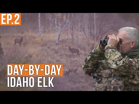 THAT was CLOSE | Idaho Backcountry Elk Hunt (Ep.2)