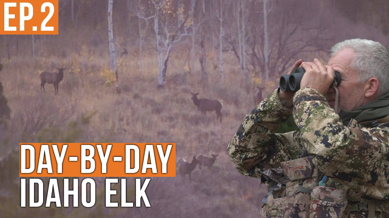 Intense Idaho Backcountry Elk Hunt β Near Misses & Big Moments! π¦