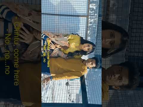 Leo and action movie 💫❤️ insta movies videos😍😍 YouTube channel #mydarling #tamil #viralvideo #salar