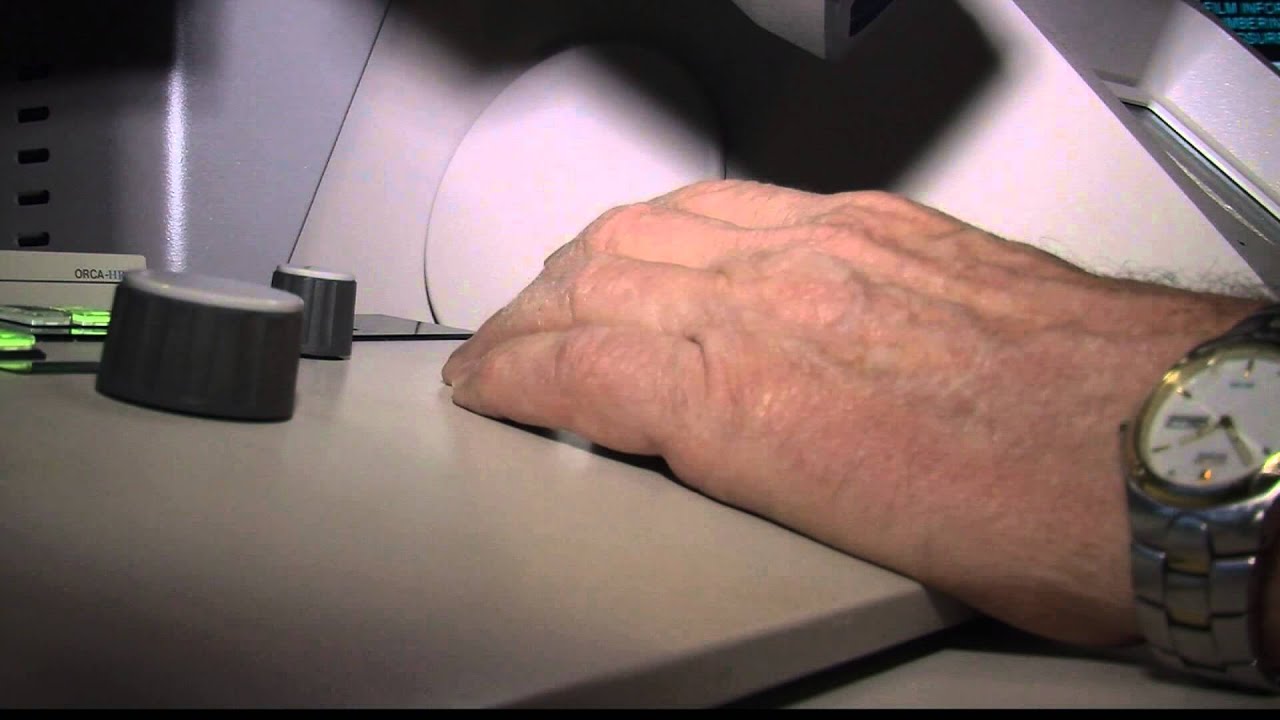 Unlocking the Power of Algae: A Sustainable Renewable Energy Source 🌱