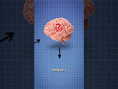 Why Mints Make Your Mouth Cold 🥶