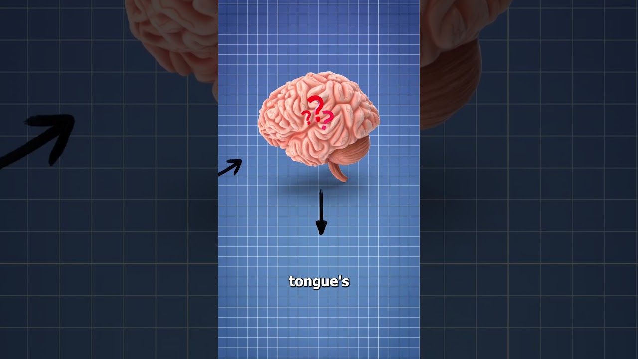 Why Mints Make Your Mouth Feel Cold โ๏ธ