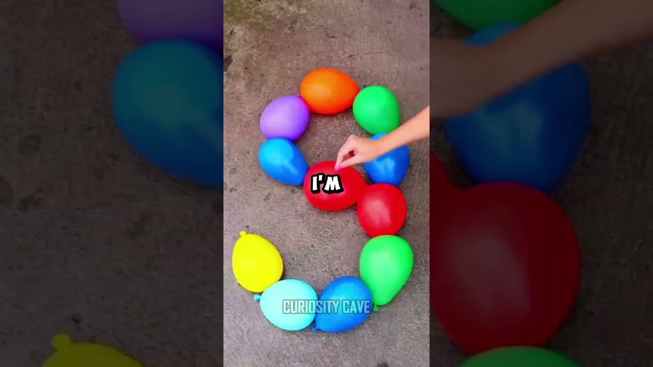 Creating a New Family: A Humorous Story