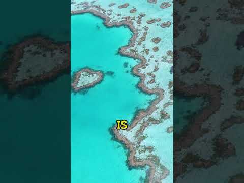 🌍 Part 15: Discovering Australia's Unique Wildlife & Stunning Landscapes 🇦🇺🏞️