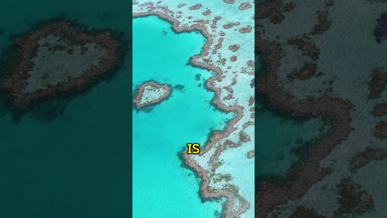 Australia Uncovered: Iconic Landmarks, Unique Wildlife & Breathtaking Landscapes 🇦🇺