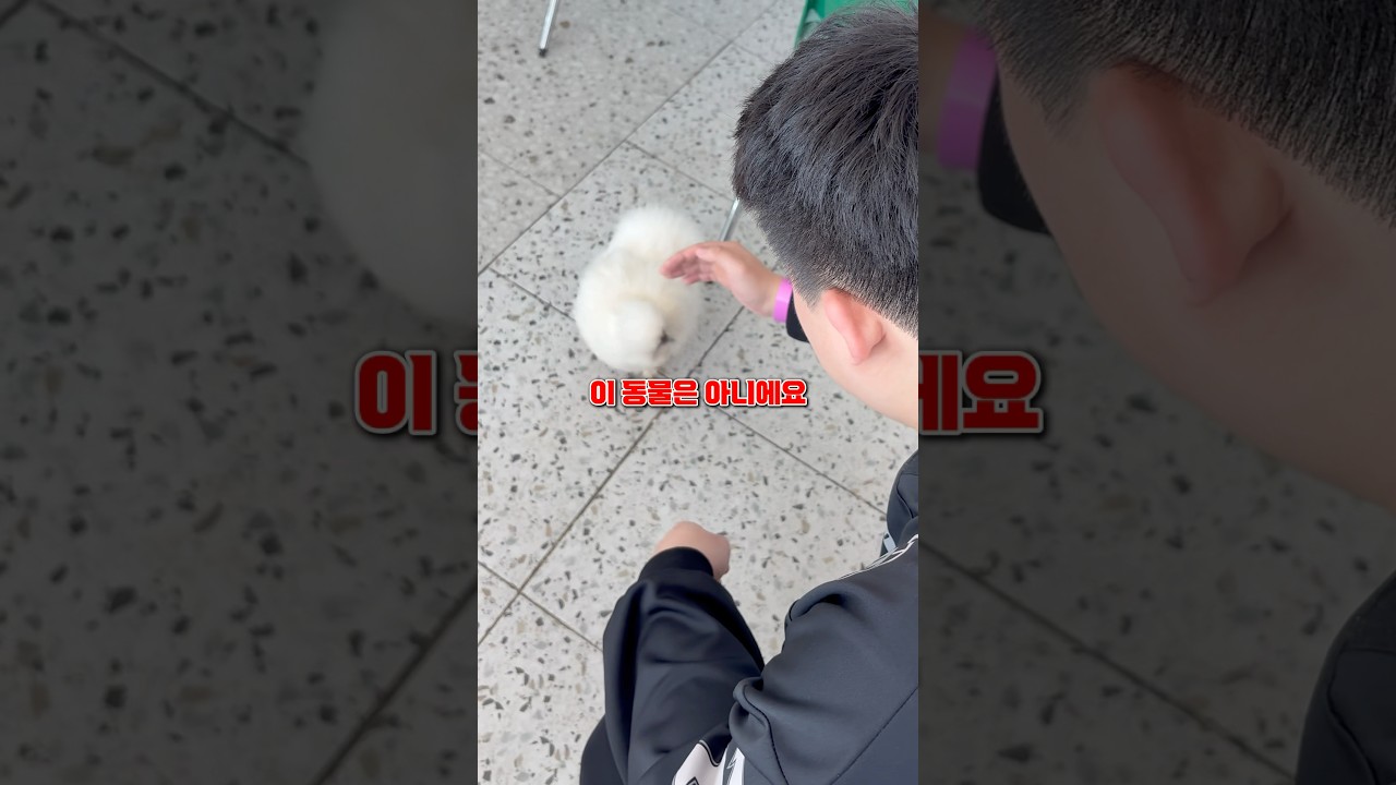 세상에서 가장 귀여운 동물 🐾