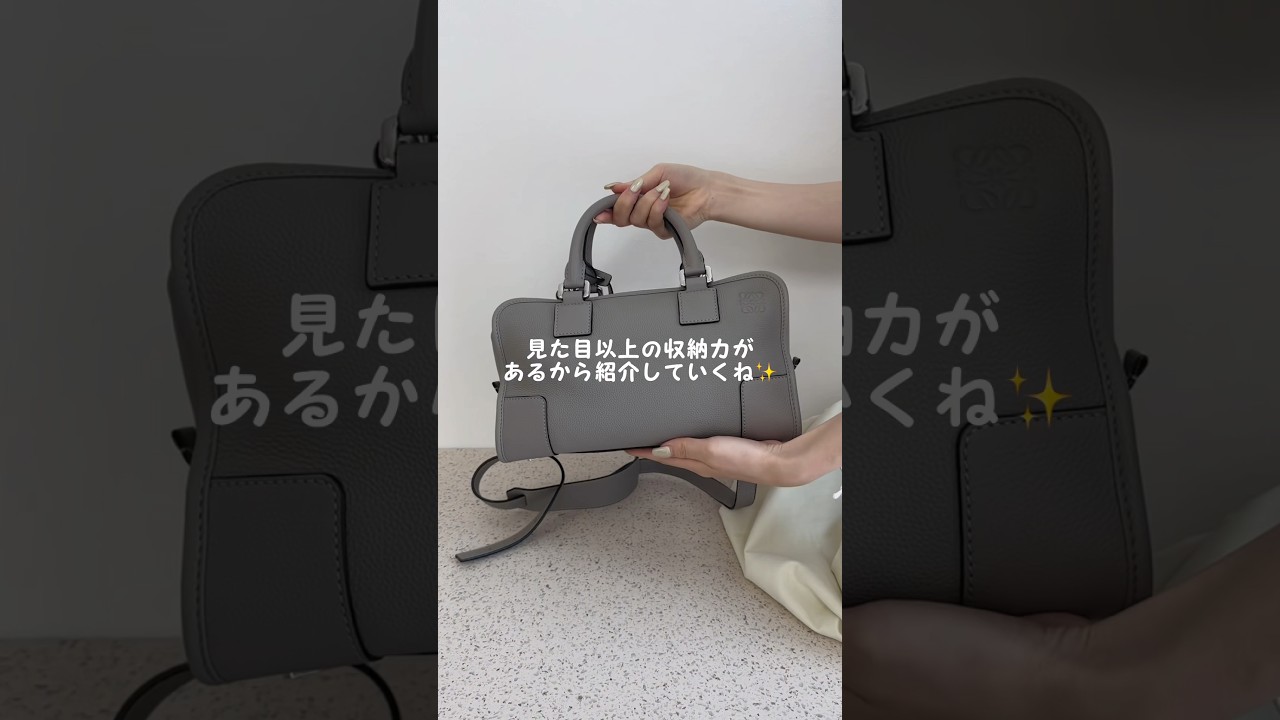 収納力に優れたロエベのアマソナバッグ