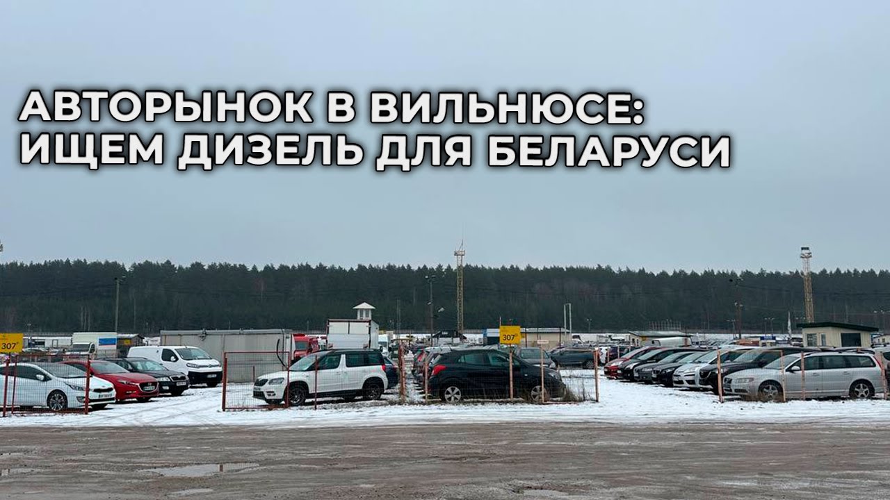 Авторынок Вильнюса: поиск дизеля для Беларуси 🚗