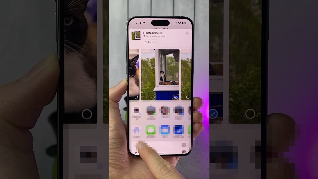 Easily Convert Photos to PDF on iPhone in Just a Few Steps 📱
