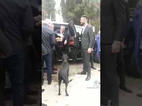 Sedat Peker adamına kızıyor