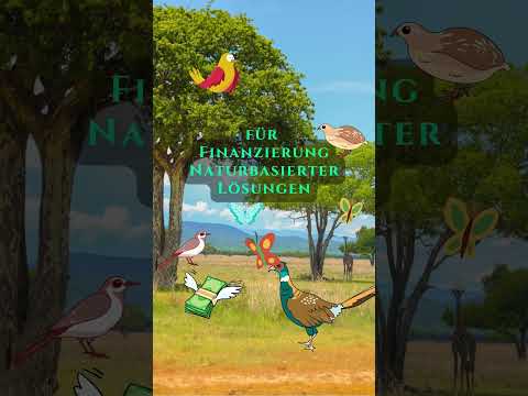 noch 21 Tage bis zur BTW25