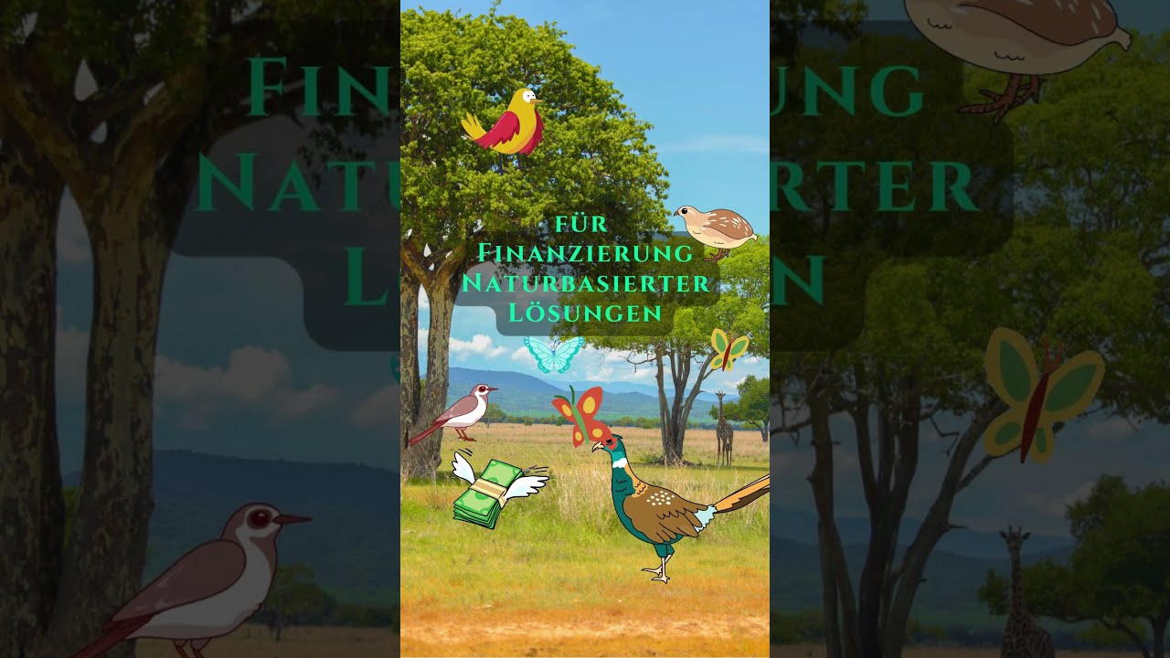 21 Tage bis zur BTW25: Grüne für Naturschutz 🌱