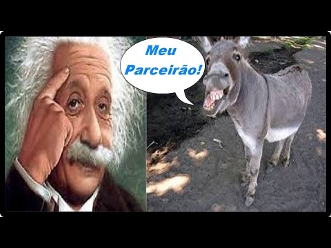 AcordeiTarde