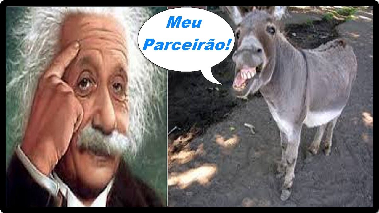 Na Terra Plana Ouvimos Falar de um "Jênio"!!