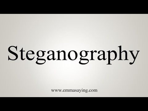 How To Say Steganography
