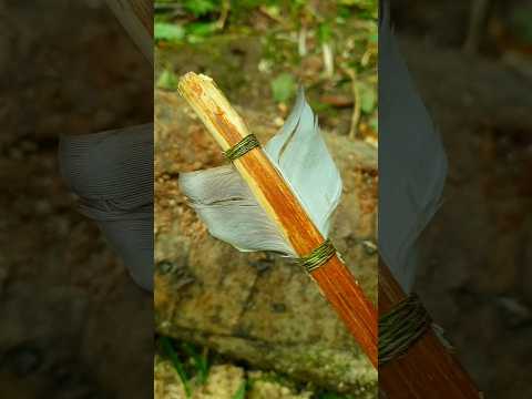 1🔥Как сделать лук в лесу #выживание #выживаниевлесу #bushcraft #лук #навыки #сделайсам