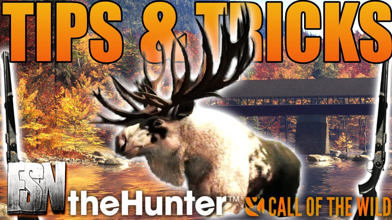 Top 10 Tips & Tricks for theHunter 2023 🎯