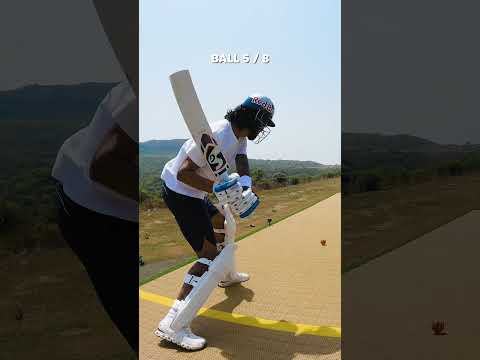 The Ultimate Cricket Challenge ๐